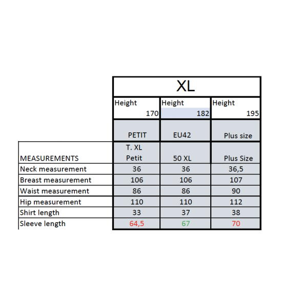 XL-Ingles